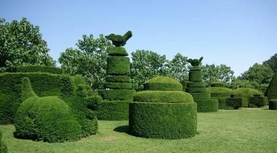 Tala y poda en Altura de árboles en Sevilla y municipios